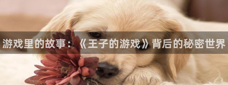 手机版欧博娱乐客户端下载：游戏里的故事：《王子的游戏》背后的