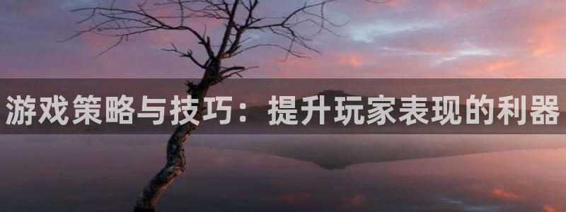 欧博娱乐手机网页版登录：游戏策略与技巧：提升玩家表现的利器