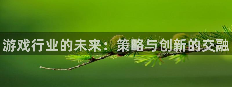 欧博娱乐app下载|下载地址：游戏行业的未来：策略与创新的交
