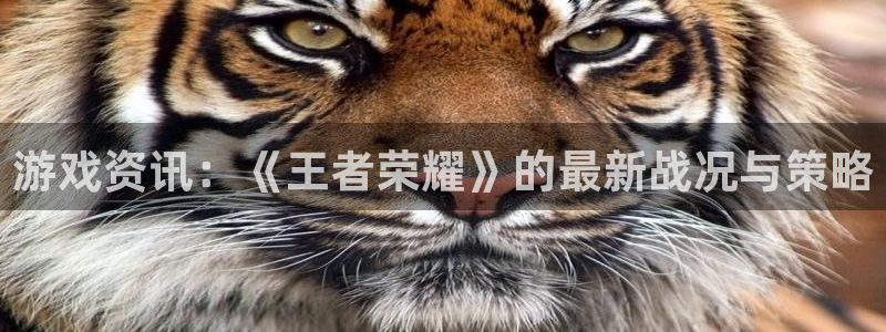 欧博娱乐娱乐是真的吗：游戏资讯：《王者荣耀》的最新战况与策略