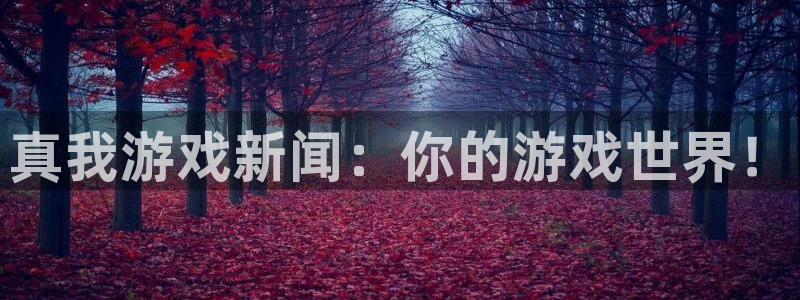 欧博娱乐下载：真我游戏新闻：你的游戏世界！