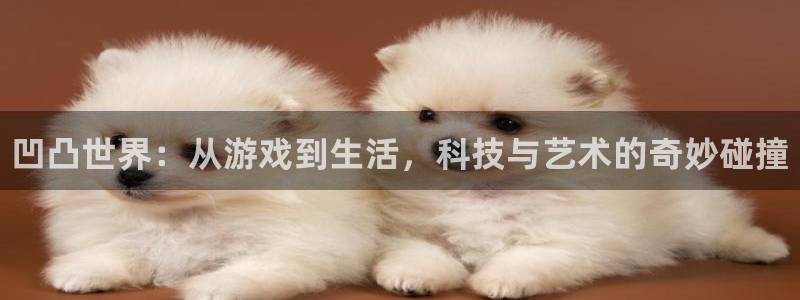 欧博娱乐注册官方登录app：凹凸世界：从游戏到生活，科技与艺