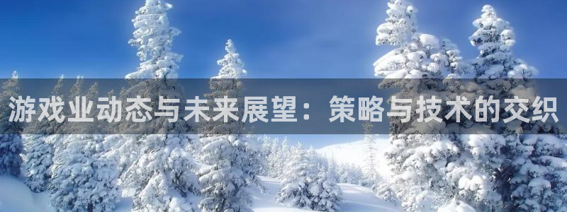 欧博娱乐平台注册资金多少：游戏业动态与未来展望：策略与技术的