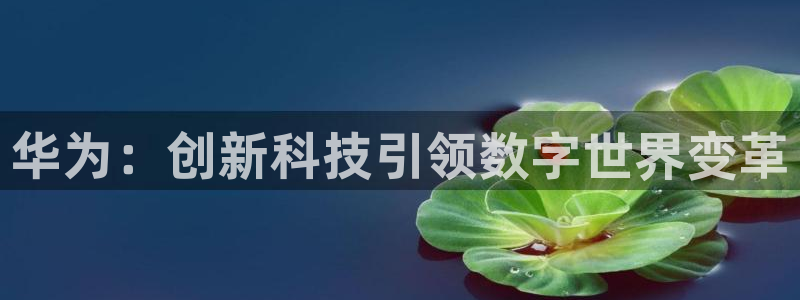 飞速极速体育直播