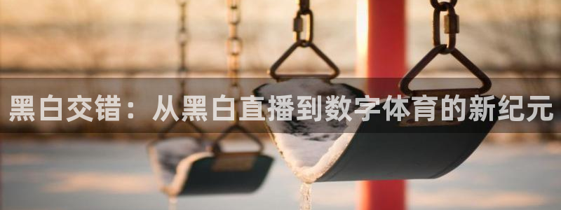 飞速直播体育nba