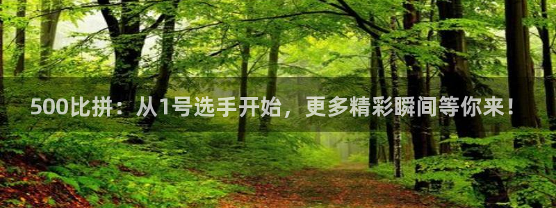 nba无插件直播飞速体育直播：500比拼：从1号选手开始，更多精彩瞬间等你来！