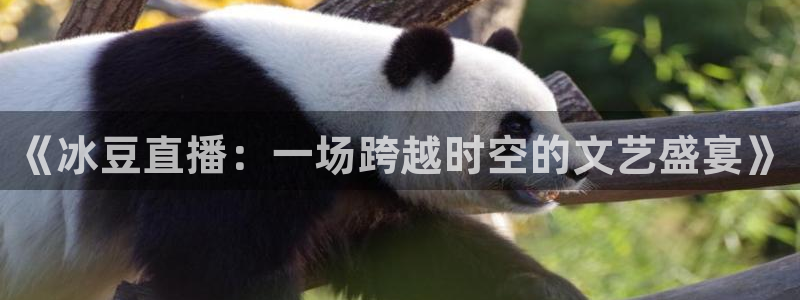 飞速直播nba免费直播在线观看高清：《冰豆直播：一场跨越时空的文艺盛宴》