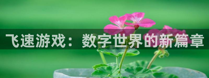 欧博娱乐注册登录：飞速游戏：数字世界的新篇章