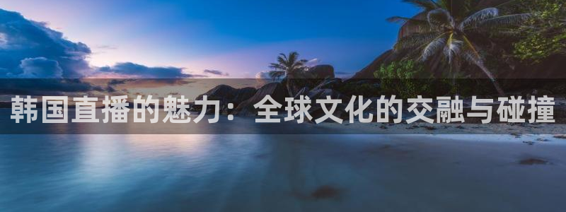 飞速直播篮球直播
