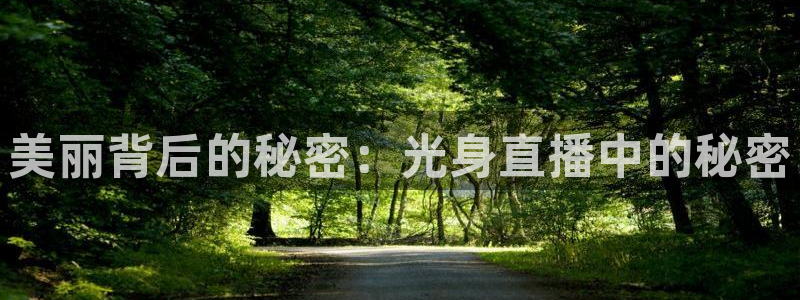 飞速直播体育在线直播nba