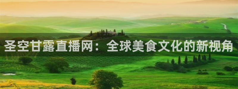 飞速极速体育直播