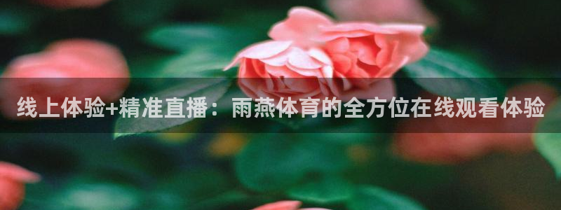 飞速体育app