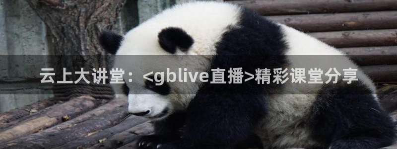 飞速极速体育直播：云上大讲堂：<gblive直播>精彩课堂分享