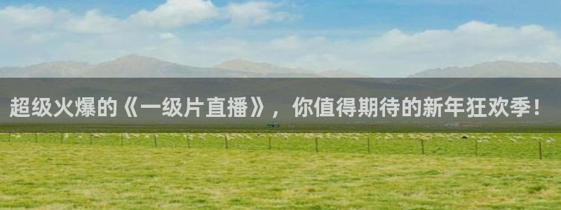 nba直播吧无插件版飞速：超级火爆的《一级片直播》，你值得期待的新年狂欢季！