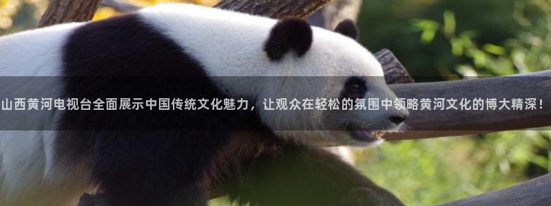 高速飞速体育直播