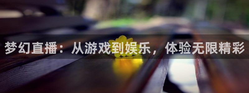 飞速nba免费直播