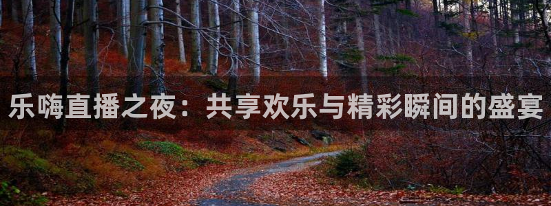 nba在线观看免费观看飞速直播：乐嗨直播之夜：共享欢乐与精彩瞬间的盛宴