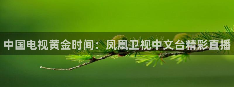 飞速体育在线直播nba：中国电视黄金时间：凤凰卫视中文台精彩直播